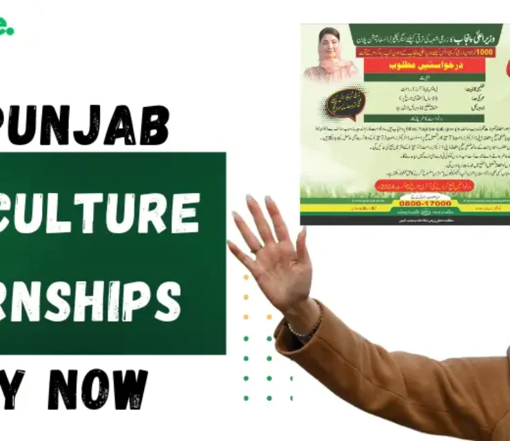 CM Punjab Internship Program for Agricultural Graduates 2024 Apply Online